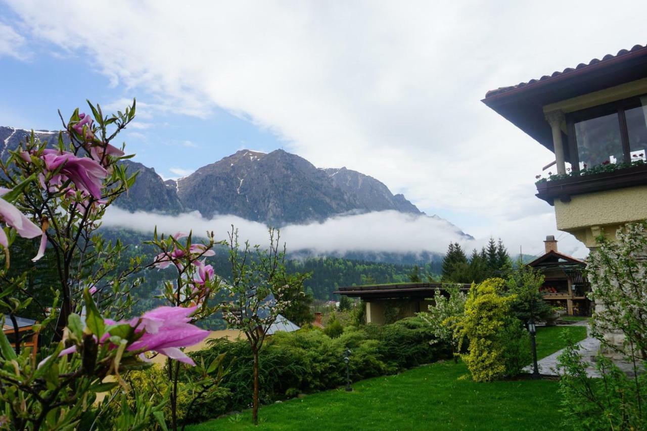 Vila Leonida - Resort Leonida Buşteni Dış mekan fotoğraf
