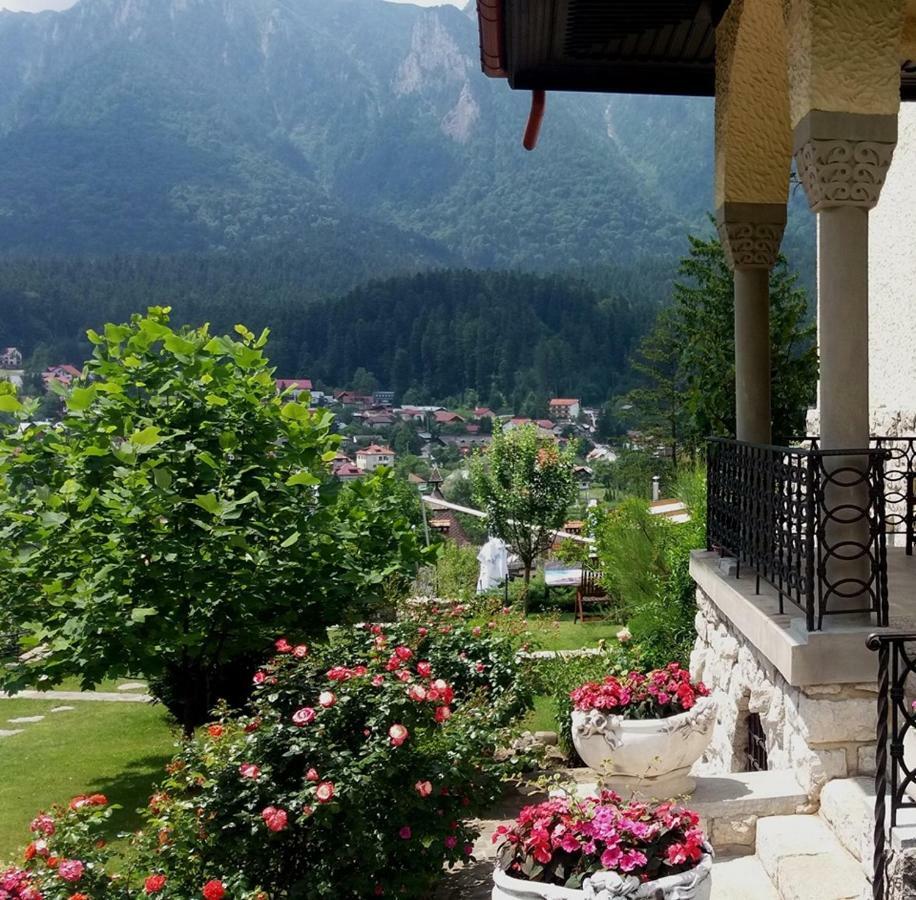 Vila Leonida - Resort Leonida Buşteni Dış mekan fotoğraf